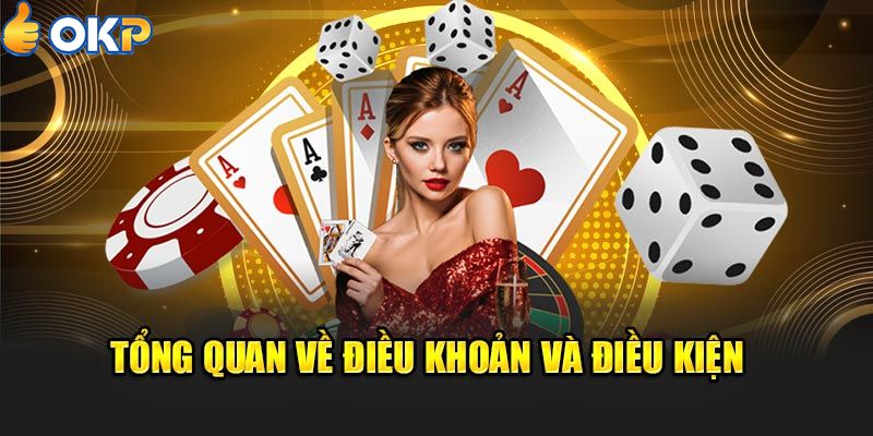 Điều Khoản Và Trách Nhiệm Của Thành Viên Tại OKP
